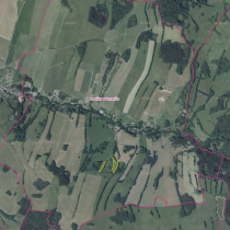 0,29 ha lesních pozemků v k.ú. Loučky u Verneřic